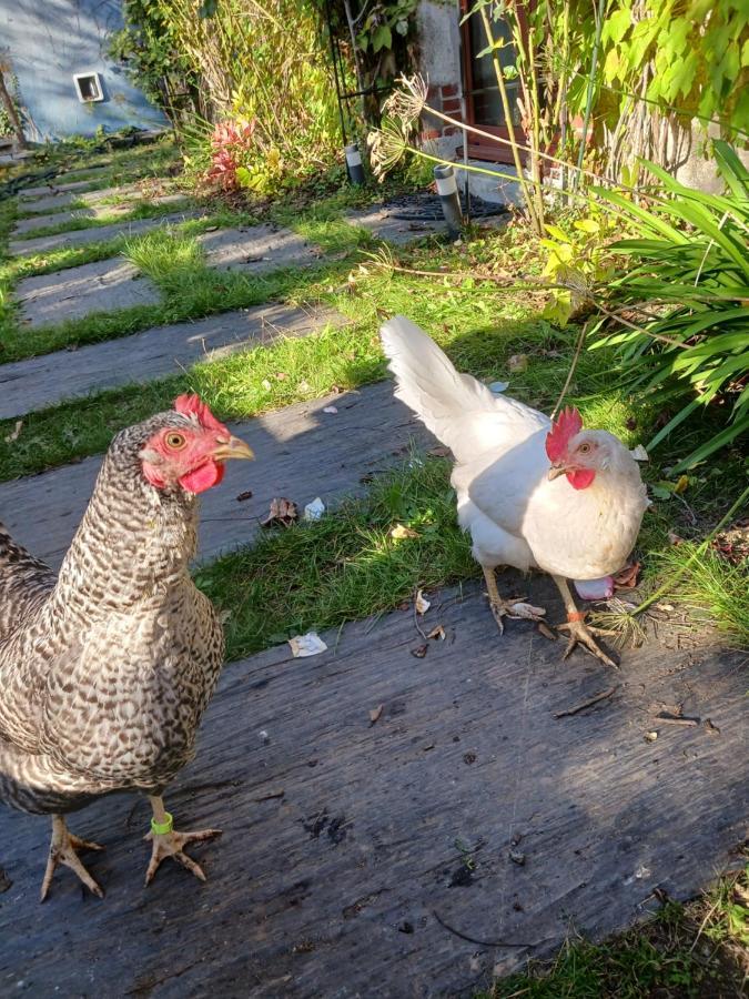 Logement Entier - Le Pigeonnier De La Plume Nantes Kültér fotó